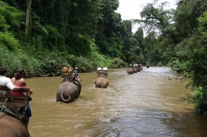 Elefanter istället för stövlar